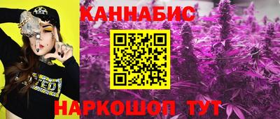 гашик Тара