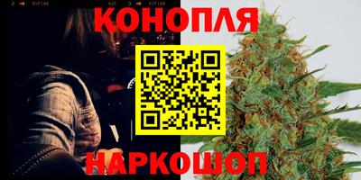 крисы Татарск