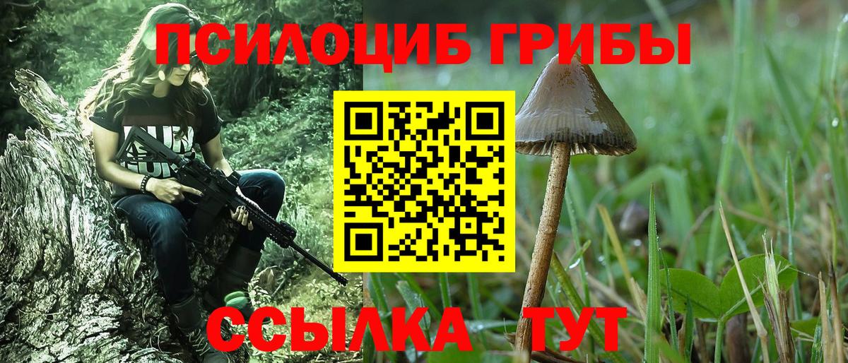 купить наркоту  Галлюциногенные грибы мицелий  Вход с VPN  Заводоуковск  Галлюциногенные грибы Psilocybine cubensis 