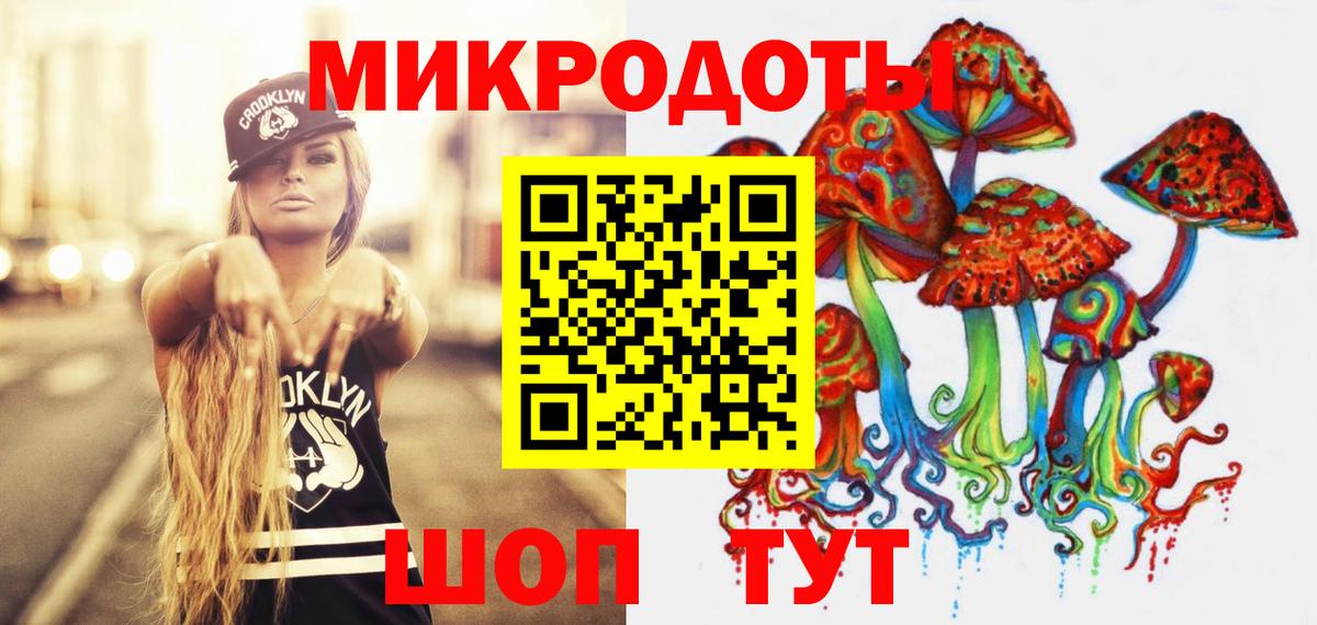 Галлюциногенные грибы Psilocybe Заводоуковск