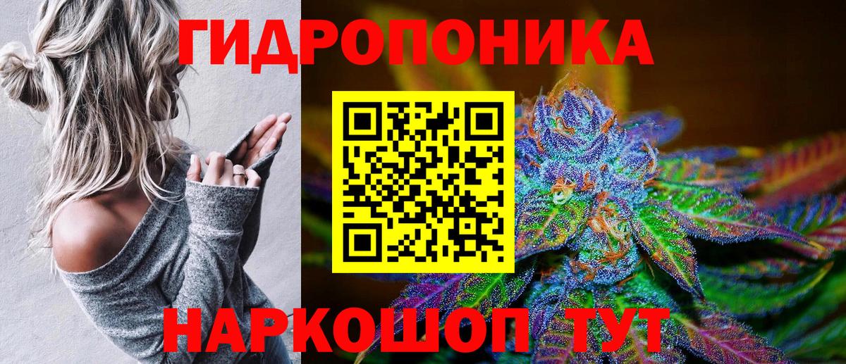 Бошки Шишки гибрид Заводоуковск